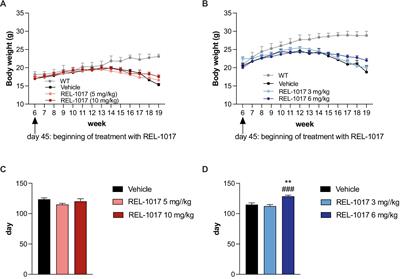 Sex-dependent effects of the uncompetitive N-methyl-D-aspartate receptor antagonist REL-1017 in G93A-SOD1 amyotrophic lateral sclerosis mice